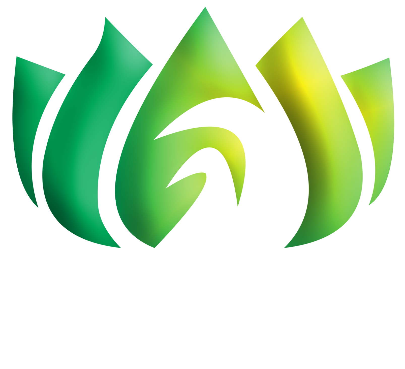 The Green Rooms Surfer Camp Sri Lanka