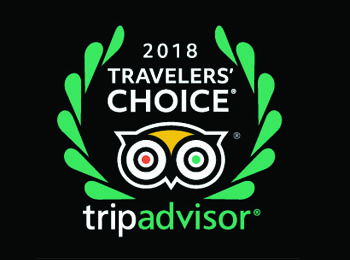 2018 travellers choice - trip advisor